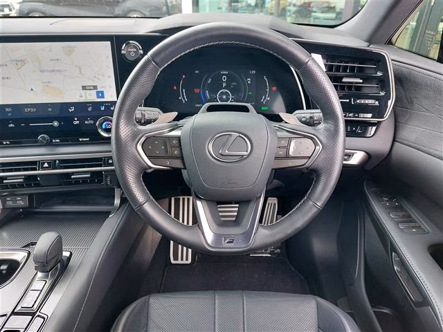 LEXUS RX500H