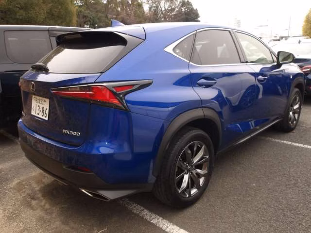 LEXUS NX300