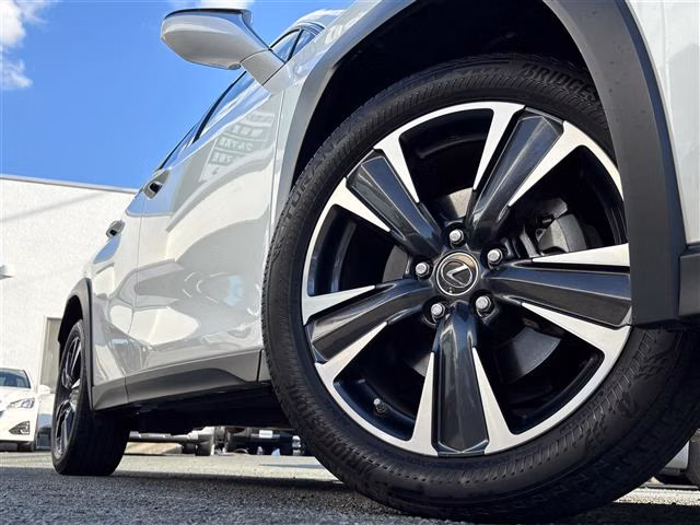 LEXUS UX200