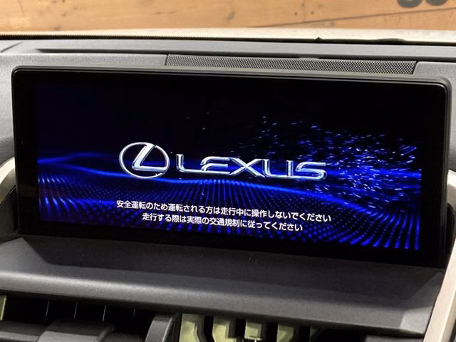 LEXUS NX300H