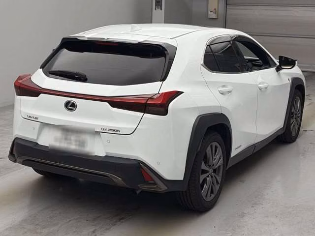 LEXUS UX250H