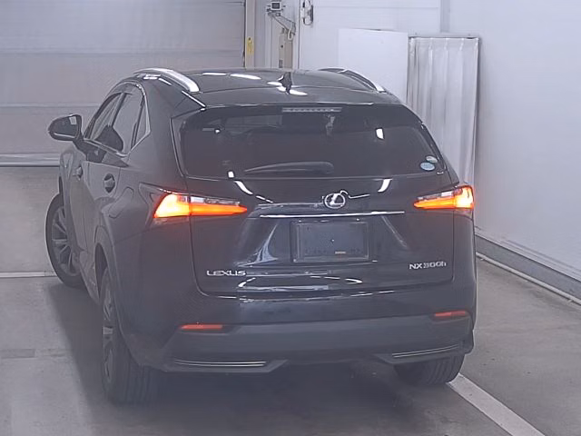 LEXUS NX300
