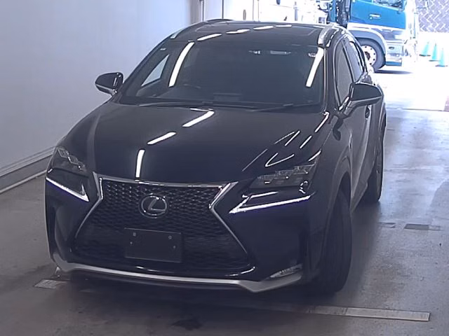 LEXUS NX300