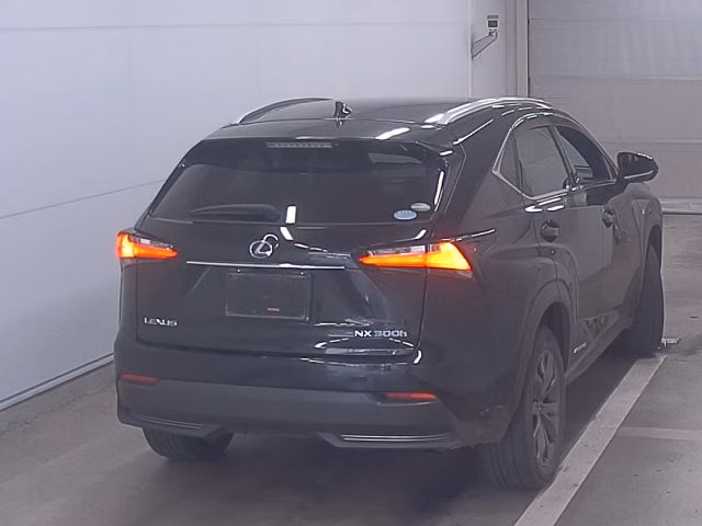 LEXUS NX300
