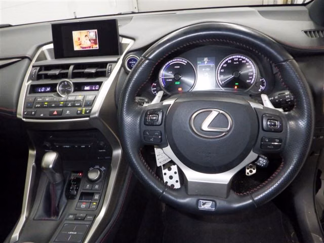 LEXUS NX300