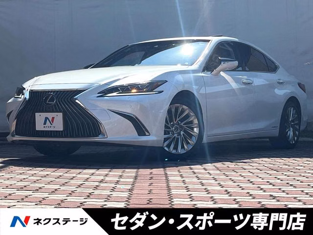 LEXUS ES300H