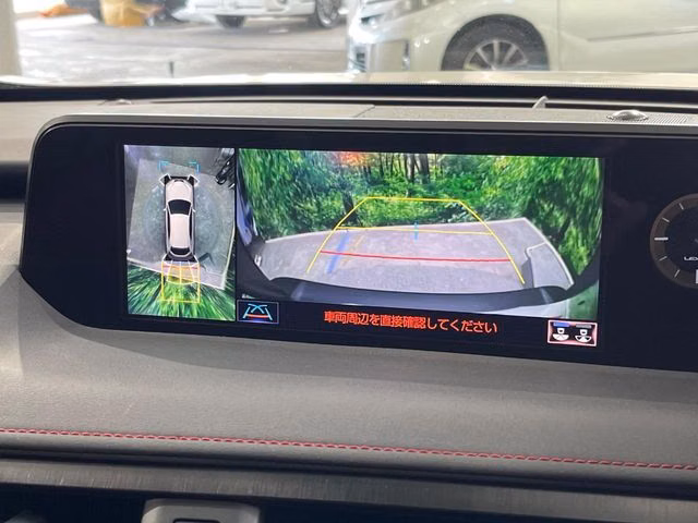 LEXUS UX250H