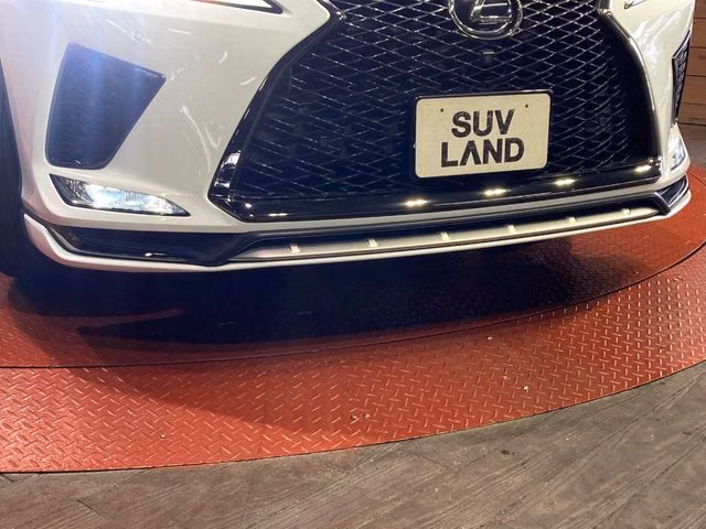 LEXUS RX300