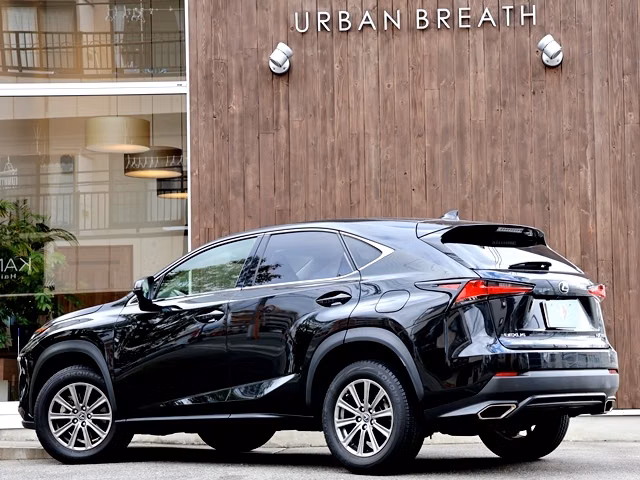 LEXUS NX300