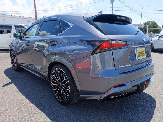 LEXUS NX300H