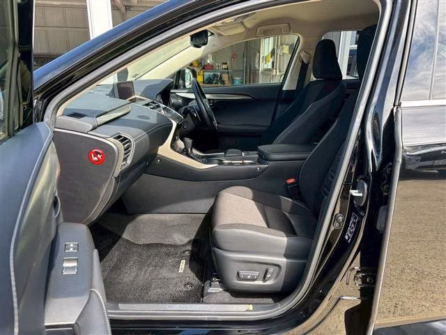 LEXUS NX300H
