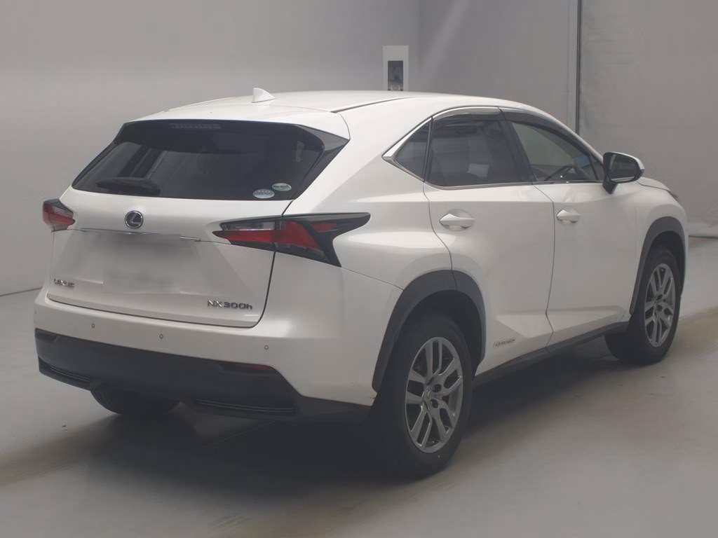 LEXUS NX300