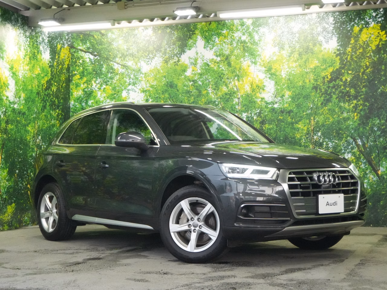 AUDI Q5