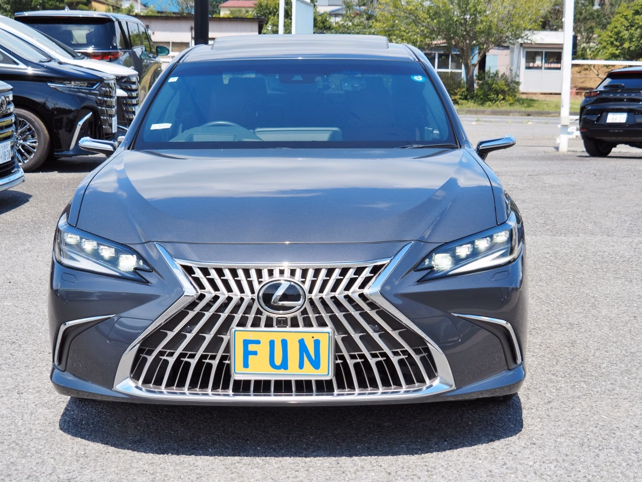 LEXUS ES300H
