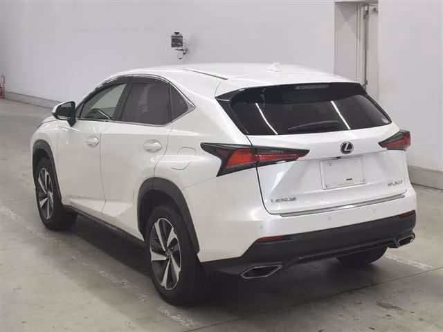 LEXUS NX300