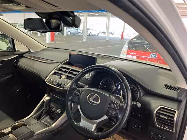 LEXUS NX300
