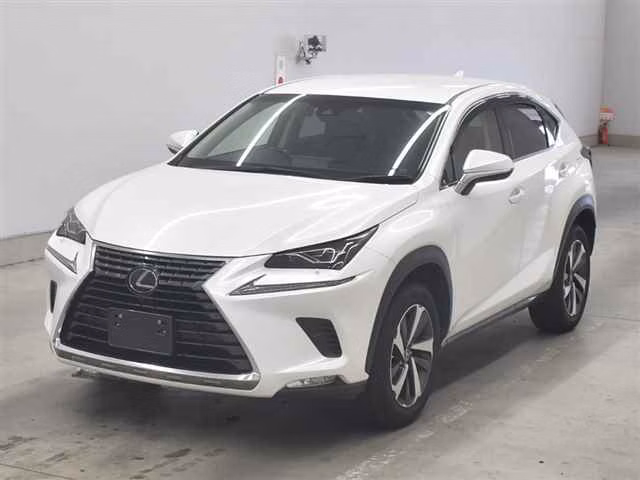 LEXUS NX300