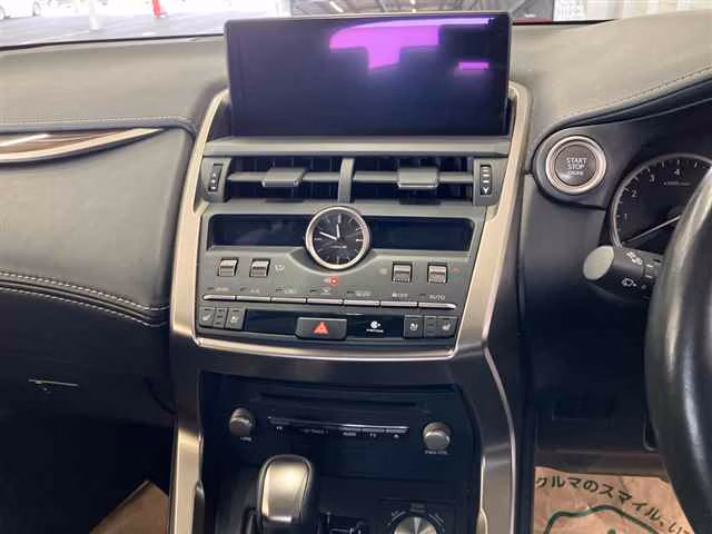 LEXUS NX300