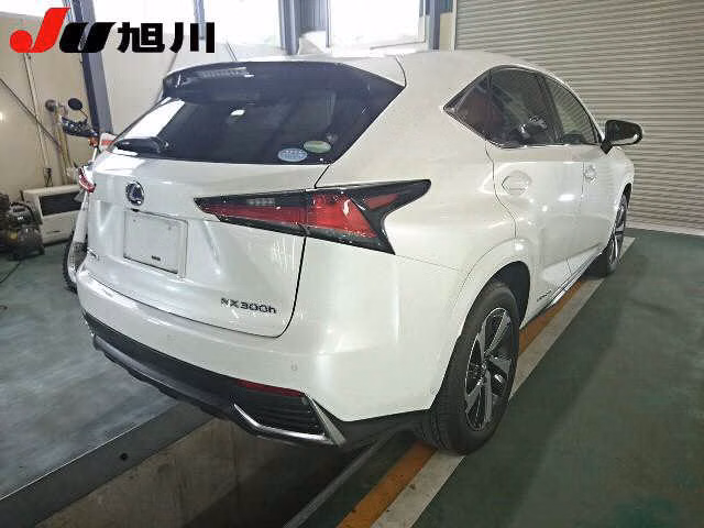 LEXUS NX300