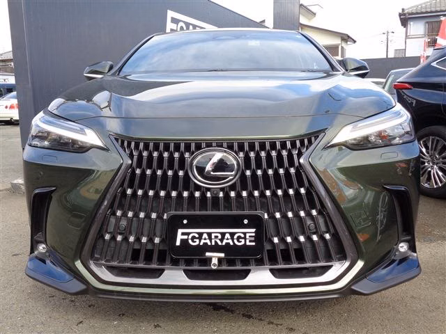 LEXUS NX350H
