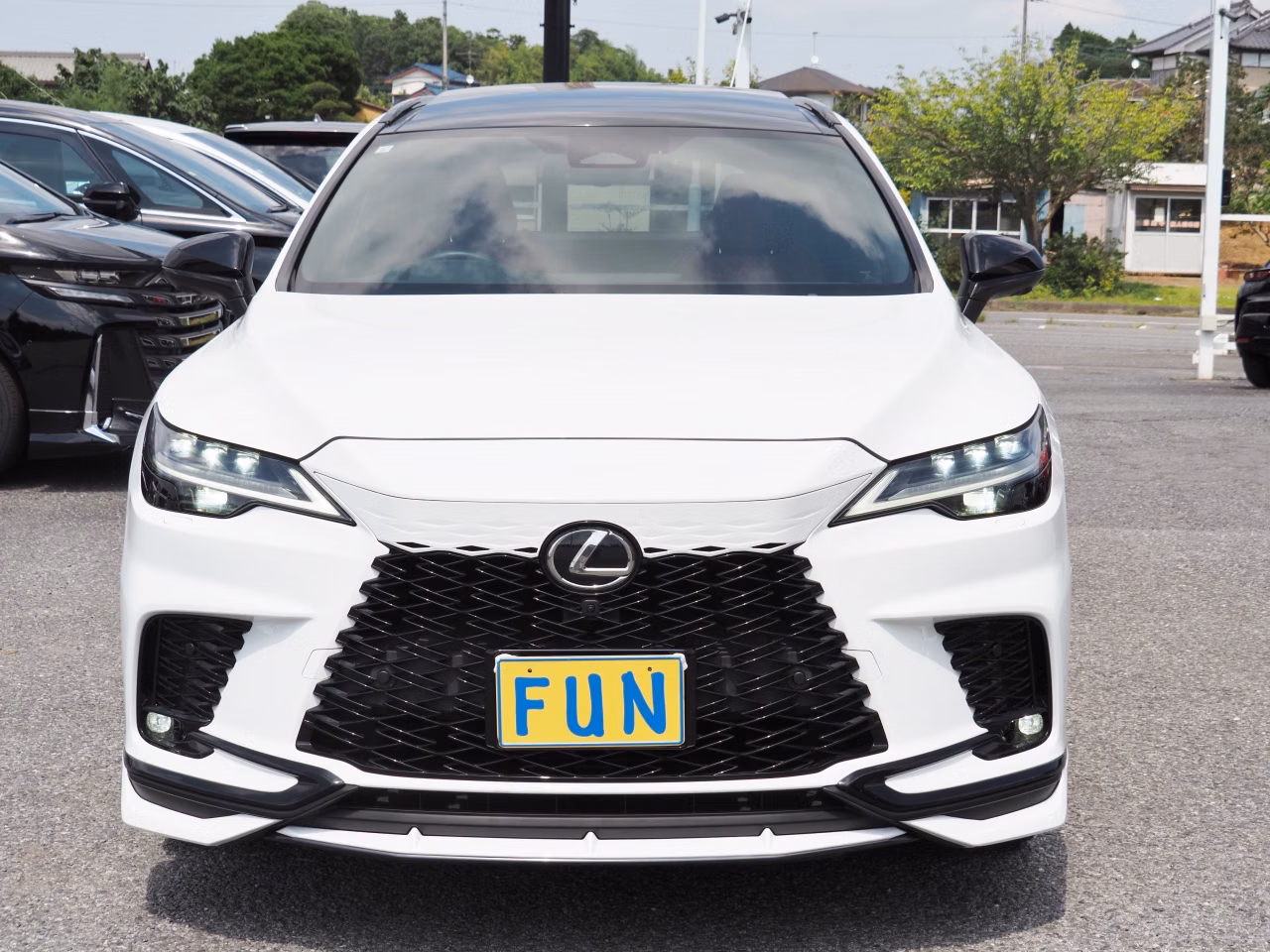 LEXUS RX500H