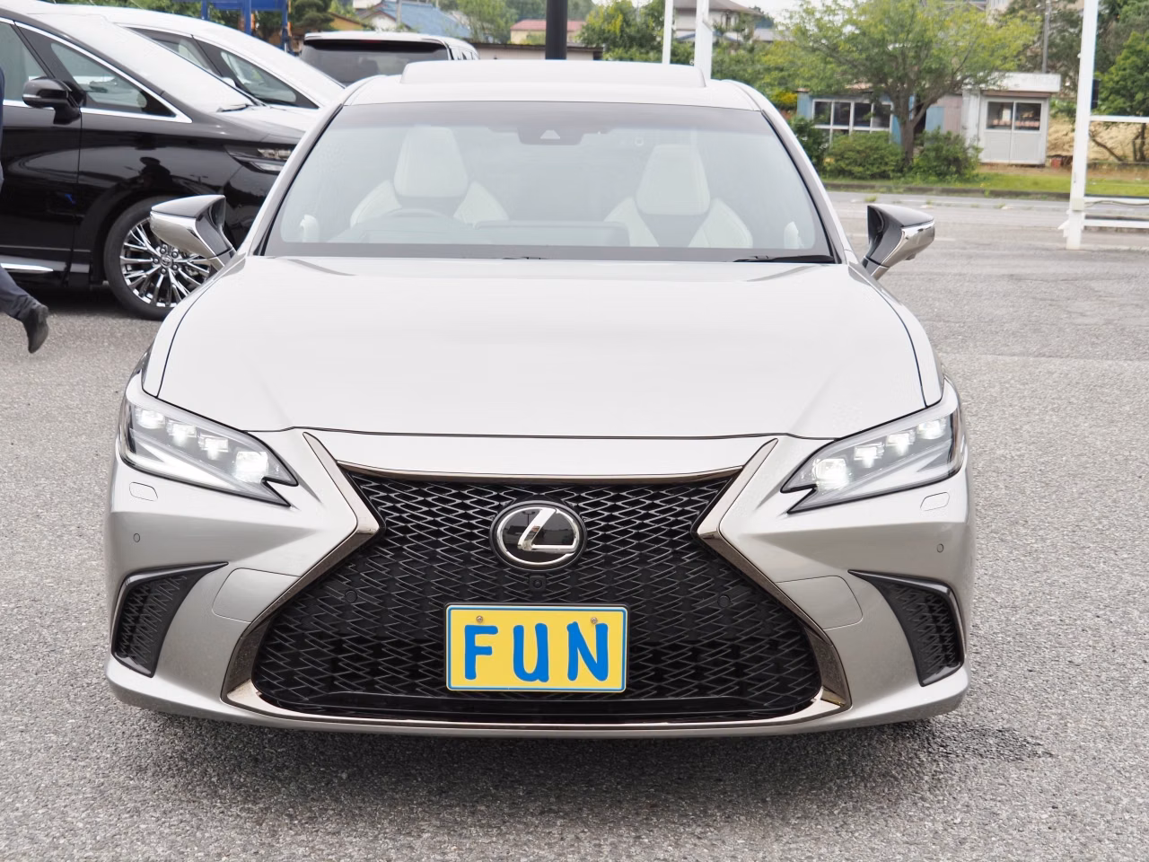 LEXUS ES300H