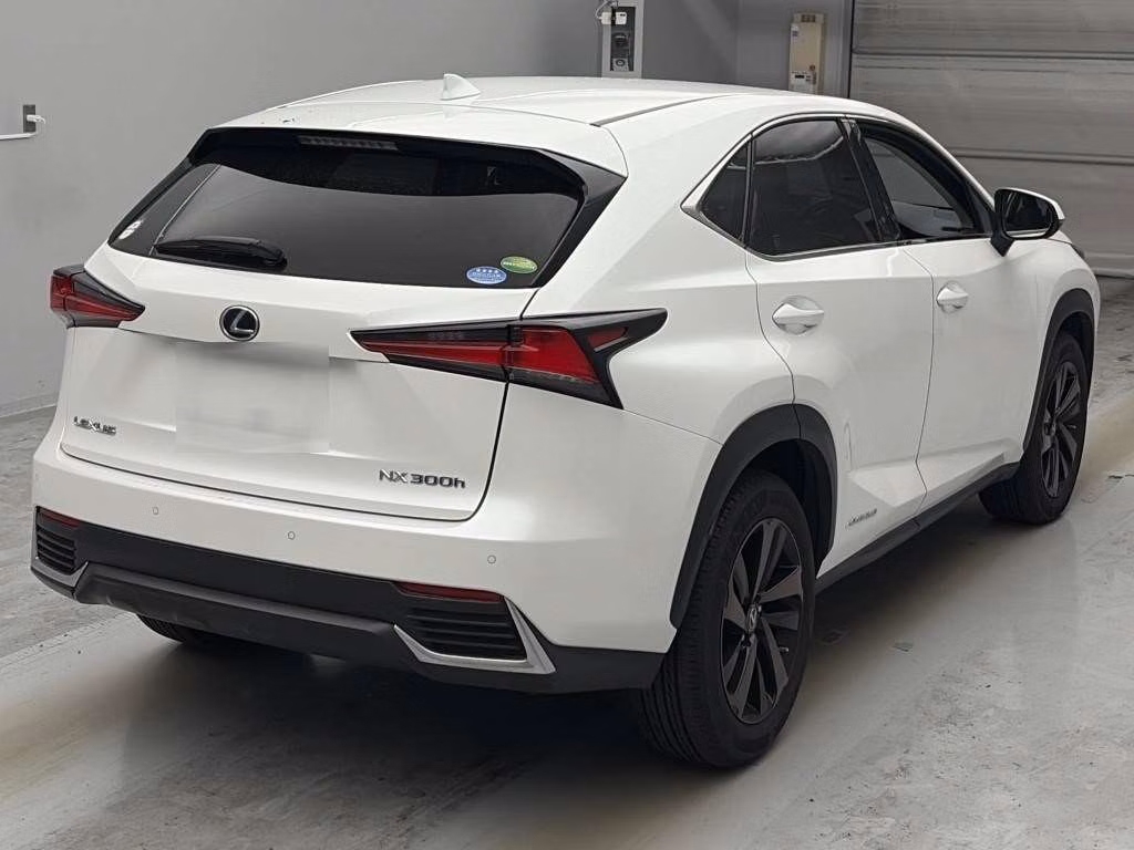 LEXUS NX300H