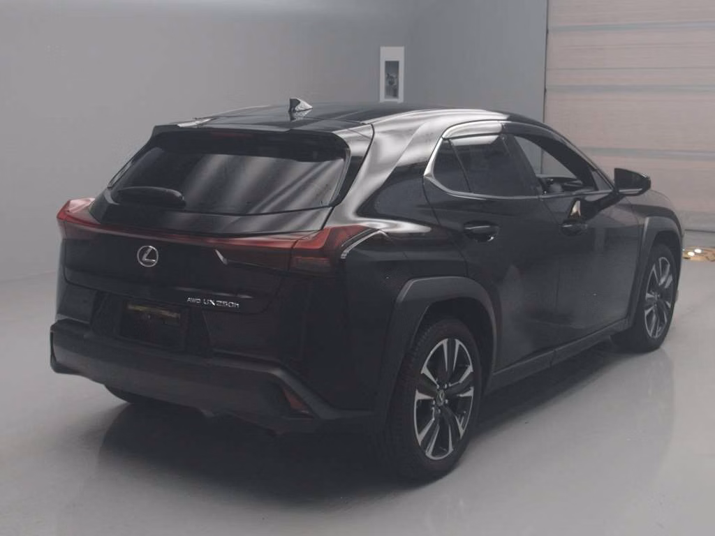 LEXUS UX250H