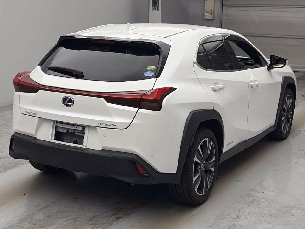 LEXUS UX250H