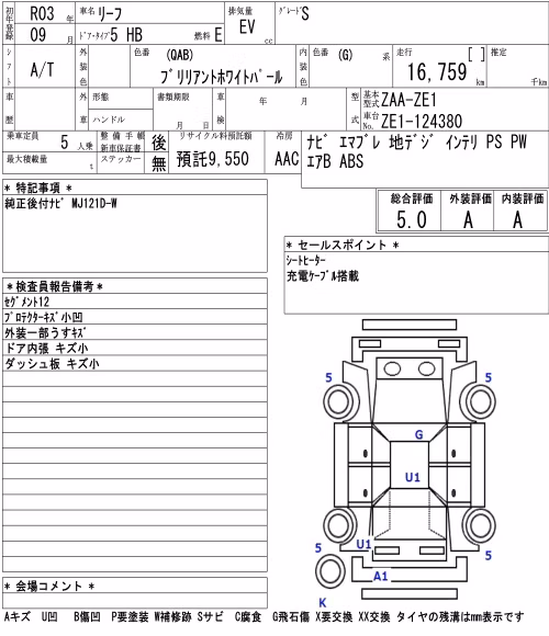 NISSAN LEAF