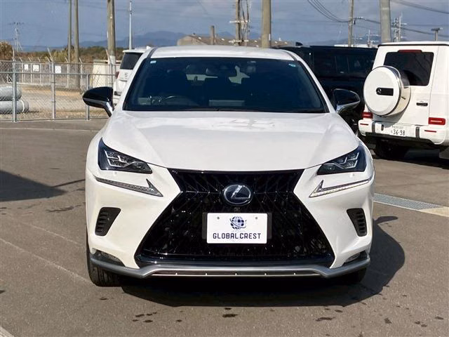 LEXUS NX300H