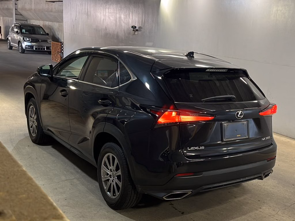 LEXUS NX300