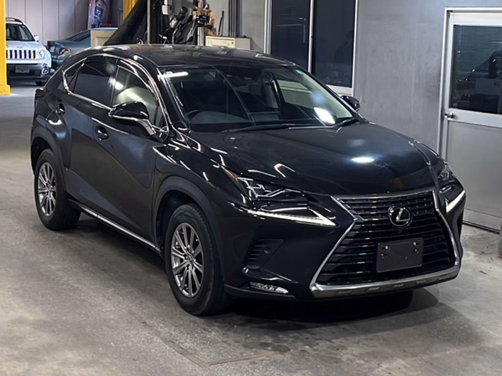 LEXUS NX300