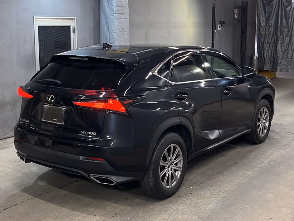 LEXUS NX300