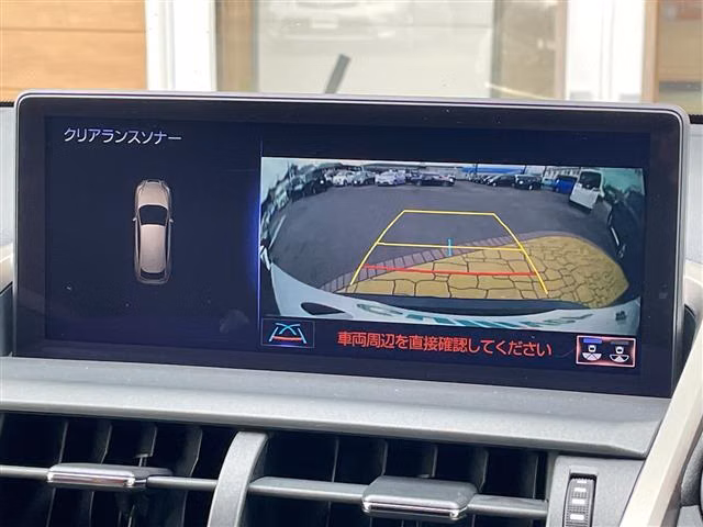 LEXUS NX300