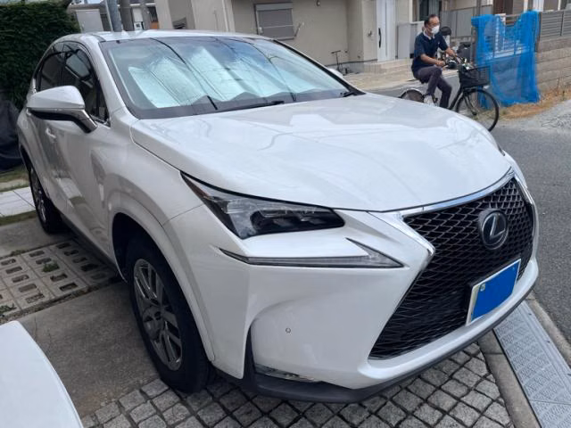LEXUS NX300