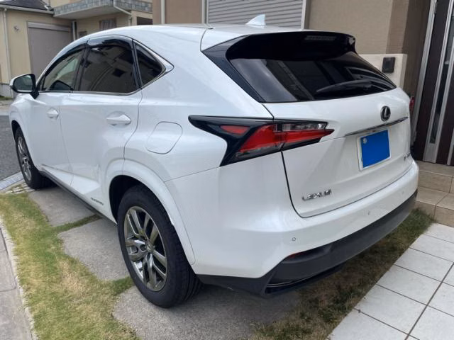 LEXUS NX300