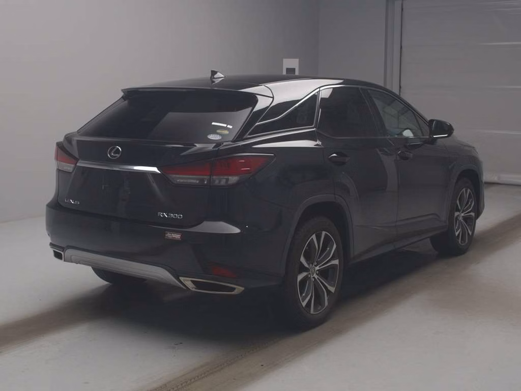 LEXUS RX300