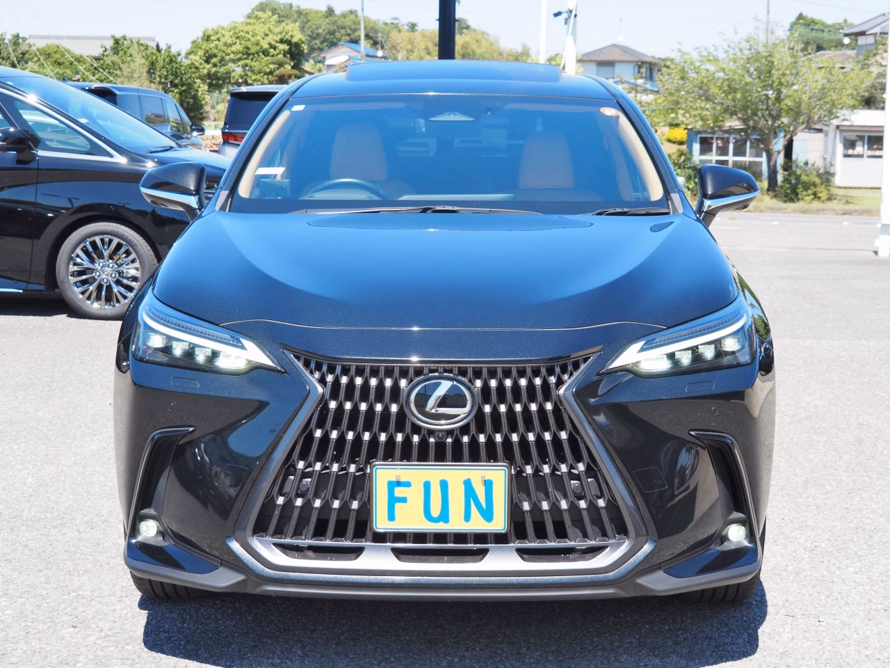 LEXUS NX450H+
