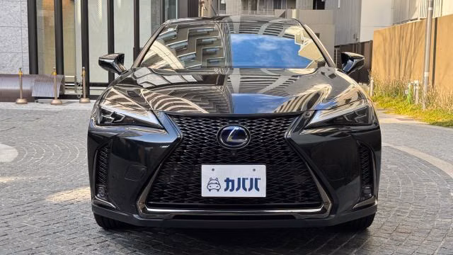 LEXUS UX250H