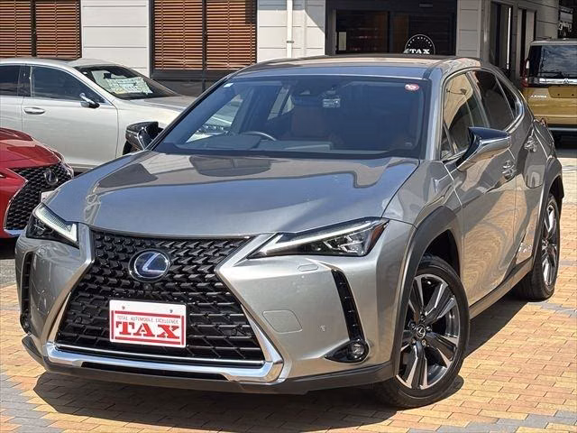 LEXUS UX250H