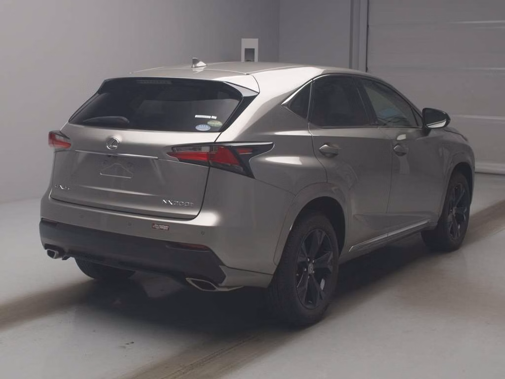 LEXUS NX300