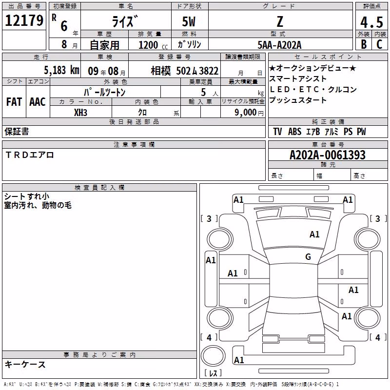 TOYOTA RAIZE