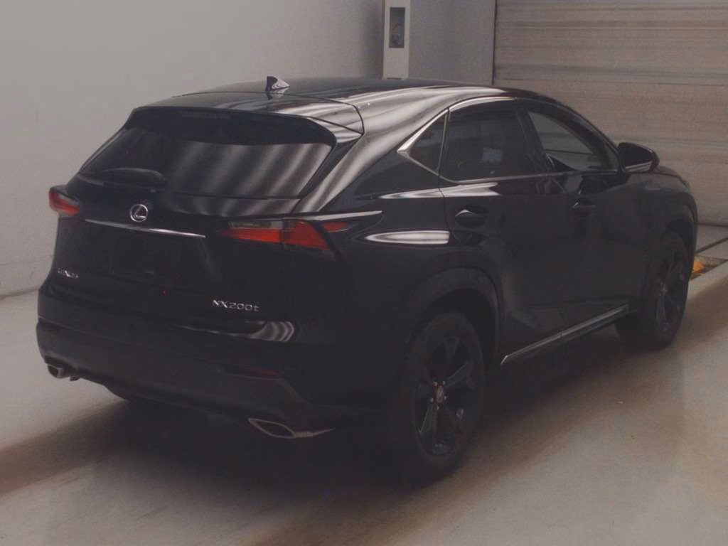 LEXUS NX300