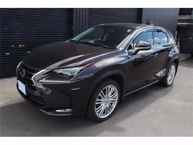 LEXUS NX300