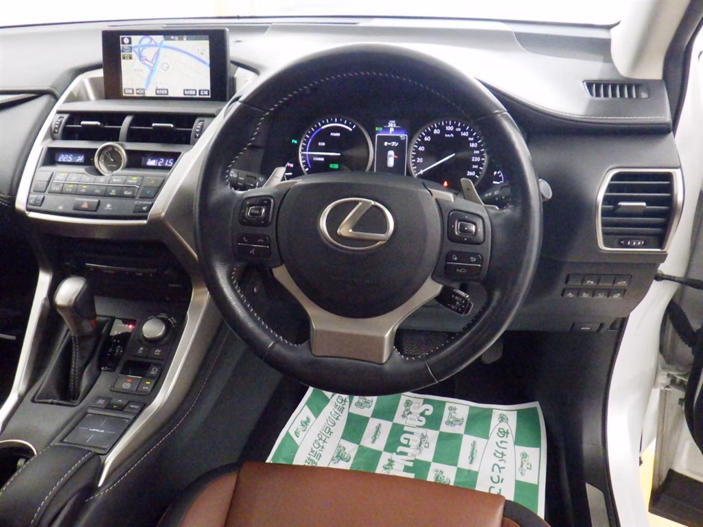 LEXUS NX300H
