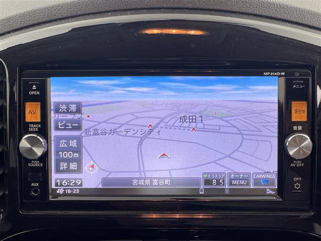 NISSAN JUKE