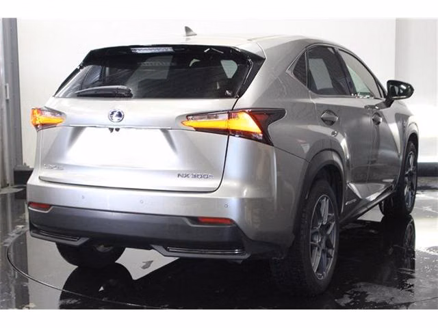 LEXUS NX300