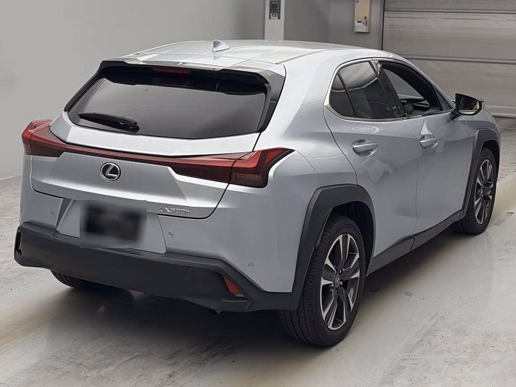 LEXUS UX300H