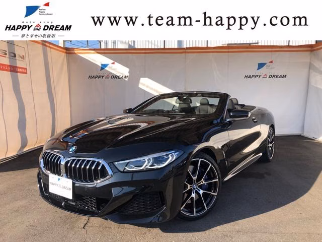 BMW 8-SERIES